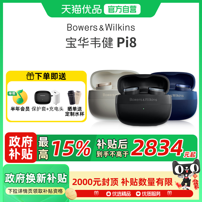 BOWERS &amp; WILKINS/宝华韦健 Pi8