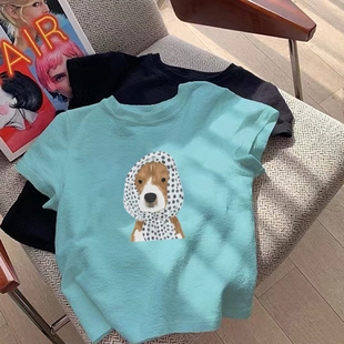 2026年夏季新款小众韩版俏皮感波点围巾小狗印花正肩短袖T恤上衣