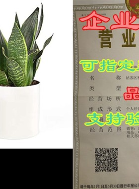 极速Take Care Indoor Planters - 6D White + 4 Green Plastic P