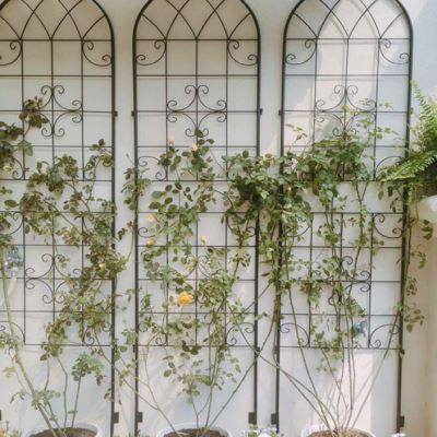 极速铁艺花架栅栏围栏篱笆屏风隔断F庭院户外室外阳台菜园花园装,鲜花速递/花卉仿真/绿植园艺,栅栏,淘宝优惠券,粉丝福利购,淘宝优惠卷