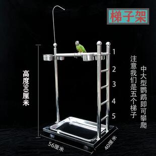 极速鹦鹉鸟类宠物鸟站p架不锈钢折衷观赏架梯子架栖息架中大型饲