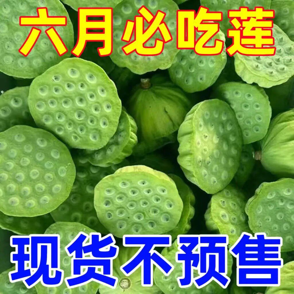 新鲜莲蓬新鲜生吃莲子应季水果莲米新鲜手剥当季新鲜莲蓬鲜莲子米