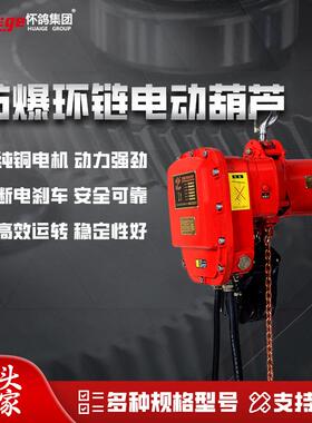 环链电动葫芦起重葫芦厂家DHBS型环链电动葫芦（快速）