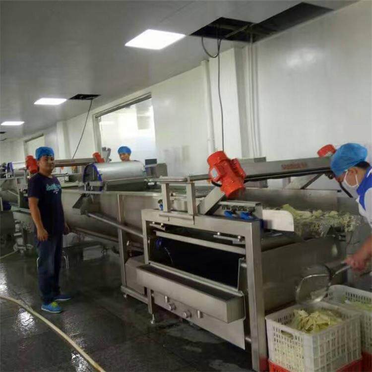 供应荷兰豆气泡蔬菜清洗机速冻蔬菜清洗机食品机械设备