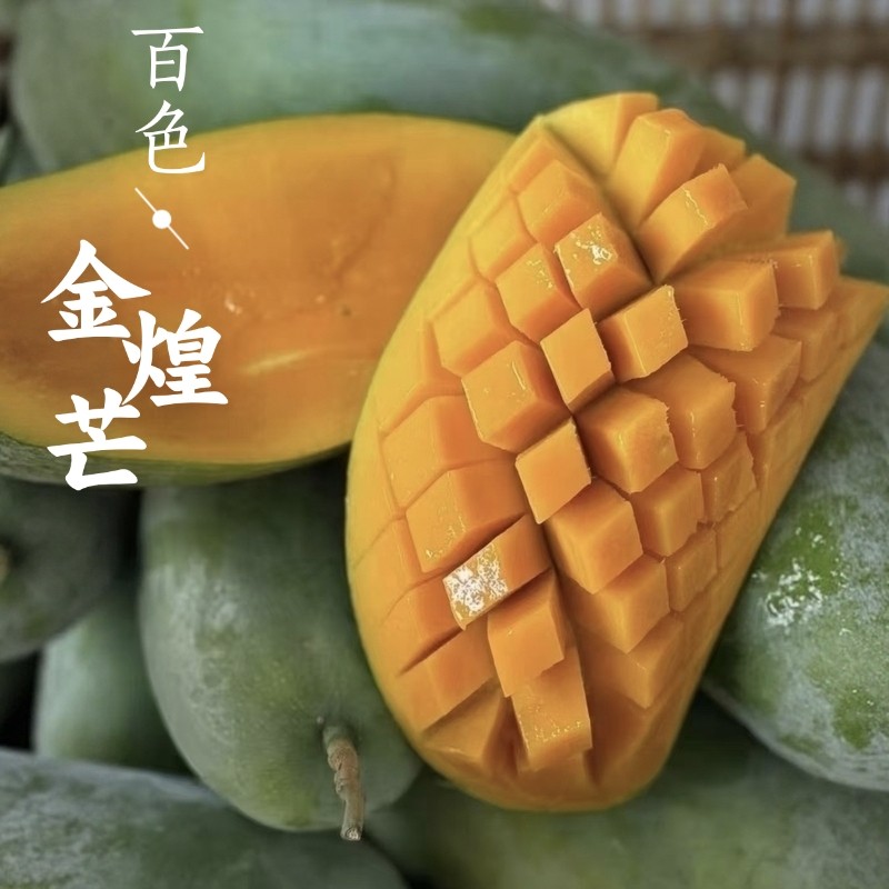 广西百色精品大青芒果大金煌母果新鲜现摘水果甜心芒果直发礼盒装