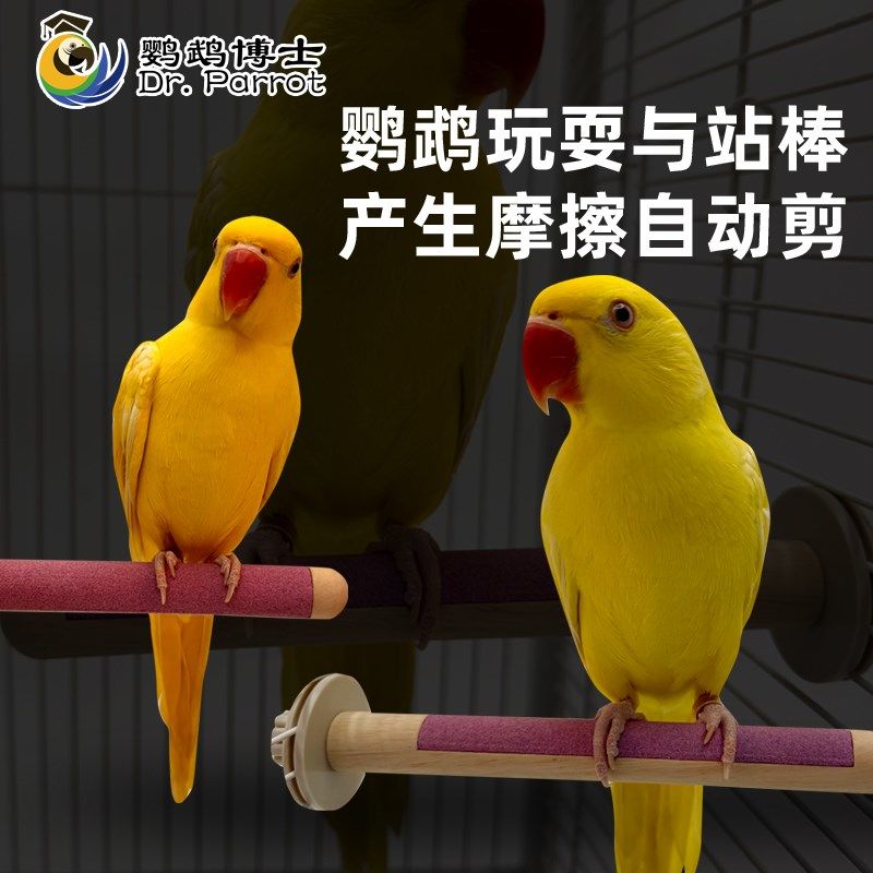 鹦鹉磨爪棒磨砂小鸟站杆站棍架虎皮玄凤牡丹专用磨嘴牙石玩具用品,宠物/宠物食品及用品,鸟玩具,淘宝优惠券,粉丝福利购,淘宝优惠卷