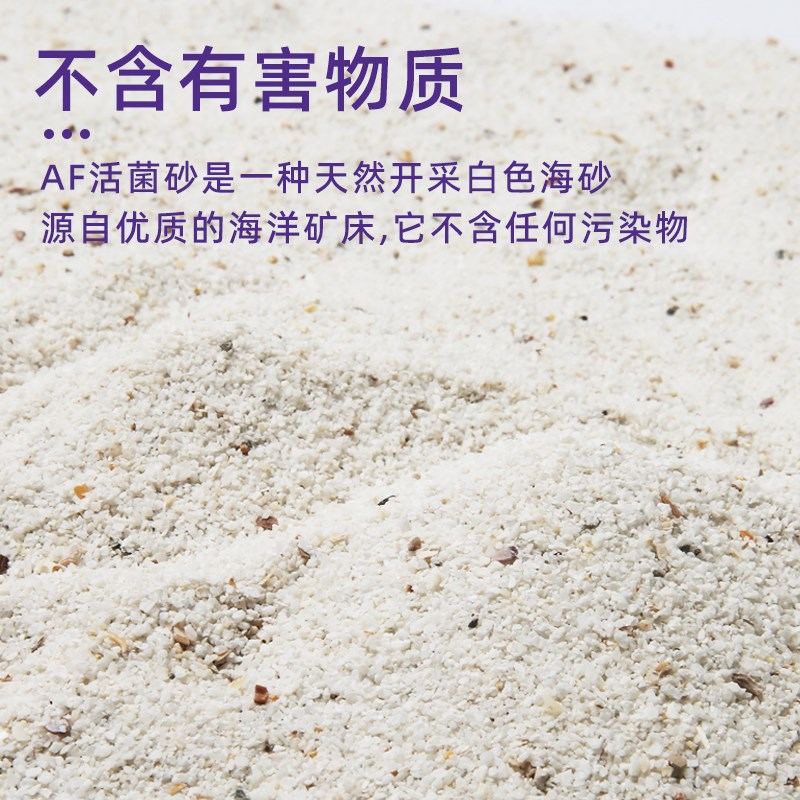紫色森林活沙细砂粗砂含天然菌群鱼缸沙子免洗海缸底沙底砂珊瑚沙