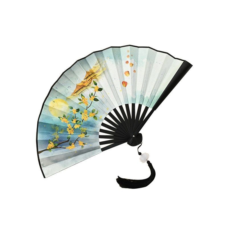 汉服扇子男童国风8寸塑料扇流苏吊坠国潮折扇儿童绢布古风撕不烂图片