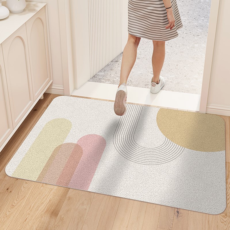 高级感入户门地垫丝圈大门口进门蹭脚垫入门门垫门外家用室外地毯