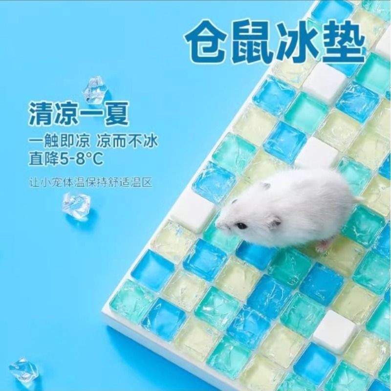 仓鼠小冰屋盒宠物夏天解暑消暑降温神器用品兔子龙猫冰垫散热凉屋