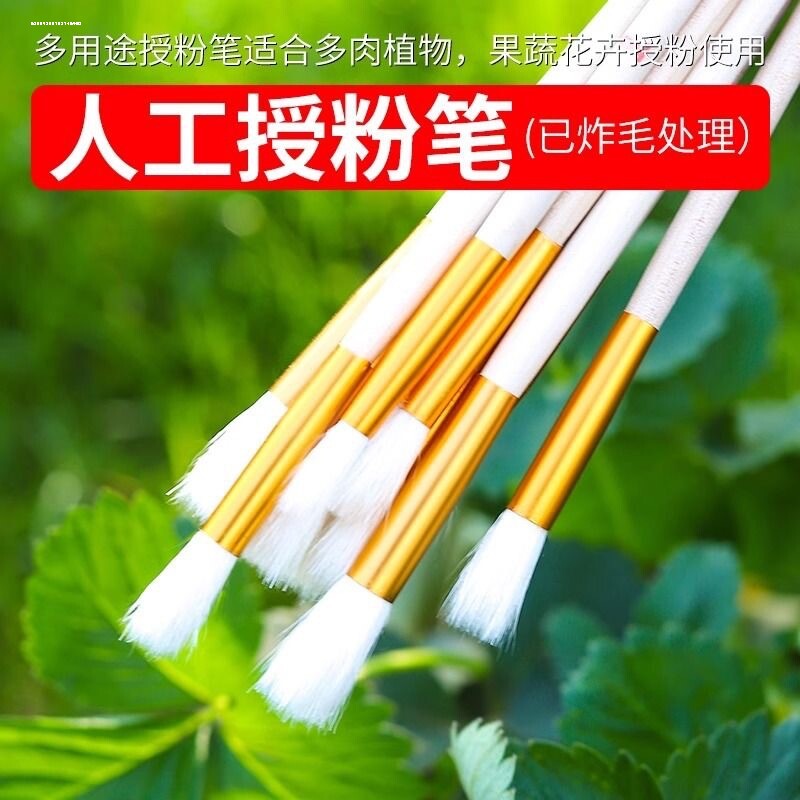 授粉笔人工授粉器草莓多肉猕猴桃果树授粉笔花粉点花授粉工具笔刷图片