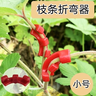 新款 植物折弯固定器盆景造型压枝器枝条弯曲训练器可连多方向转动