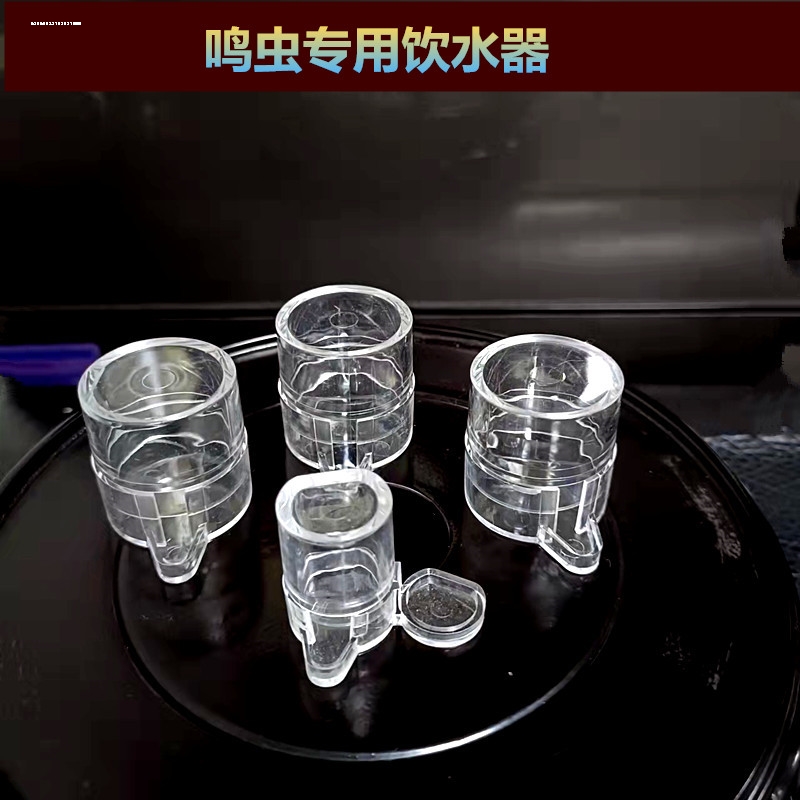 寄居蟹饮水器蟋蟀水盆蛐蛐塑料亚克力大号饮水器水碗用具喂水器