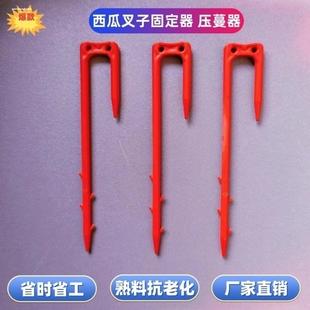 西瓜压蔓器西瓜叉子压蔓固定器压苗生根防风抗风藤蔓固定压瓜神器