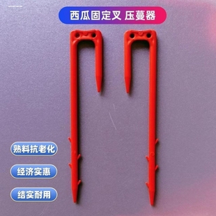 西瓜压蔓器秧苗固定器西瓜叉子藤蔓瓜秧固定器西瓜藤卡子瓜苗生根