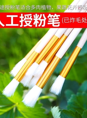人工授粉笔授粉器草莓多肉西红柿无花果树授粉花粉点花授粉刷