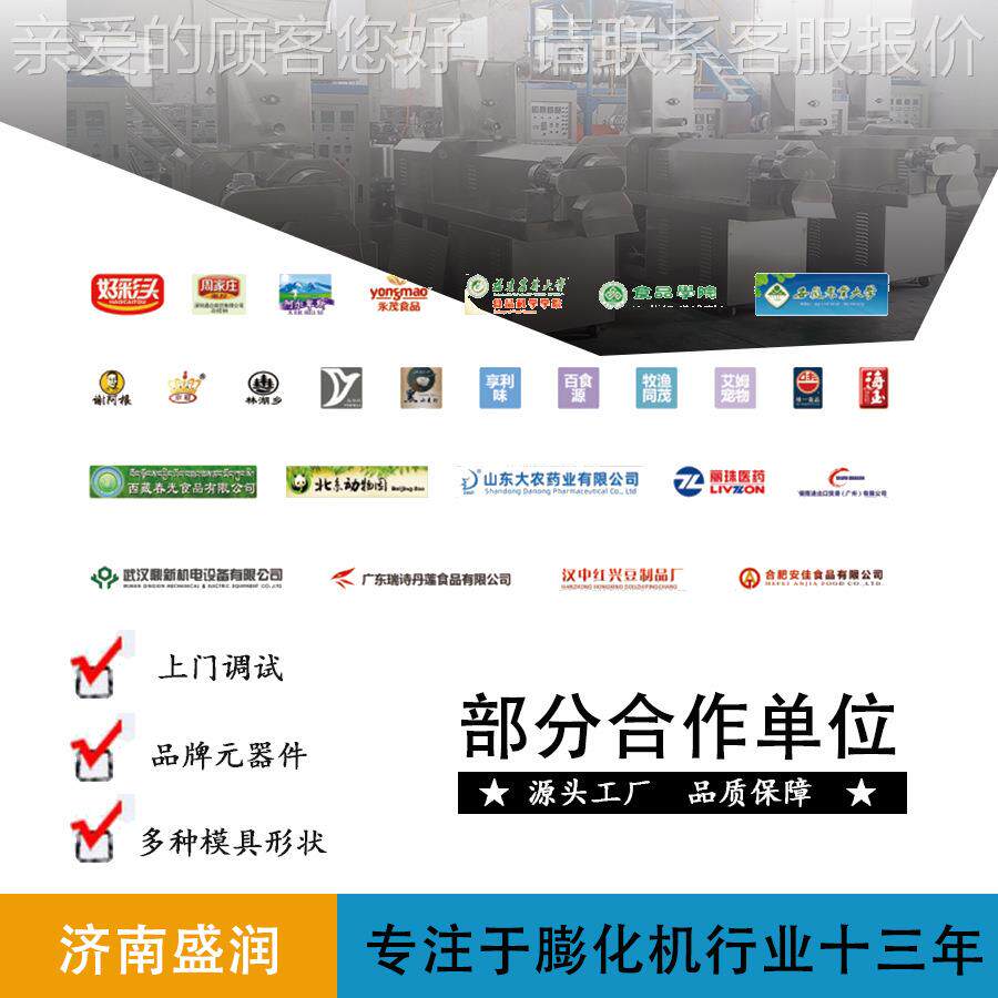机械 DLG-100 意面通心粉生 产线 通心粉设备 螺旋设备模具