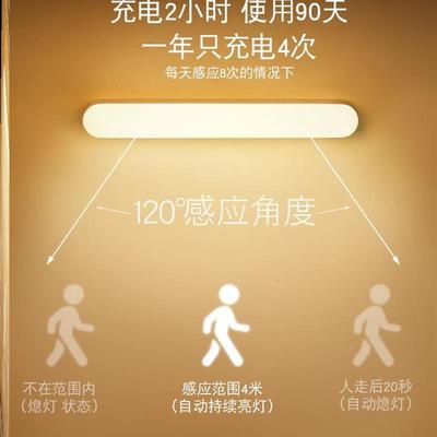 Motion Sensor LED Night Light USB Rechargeable Lamp感应灯