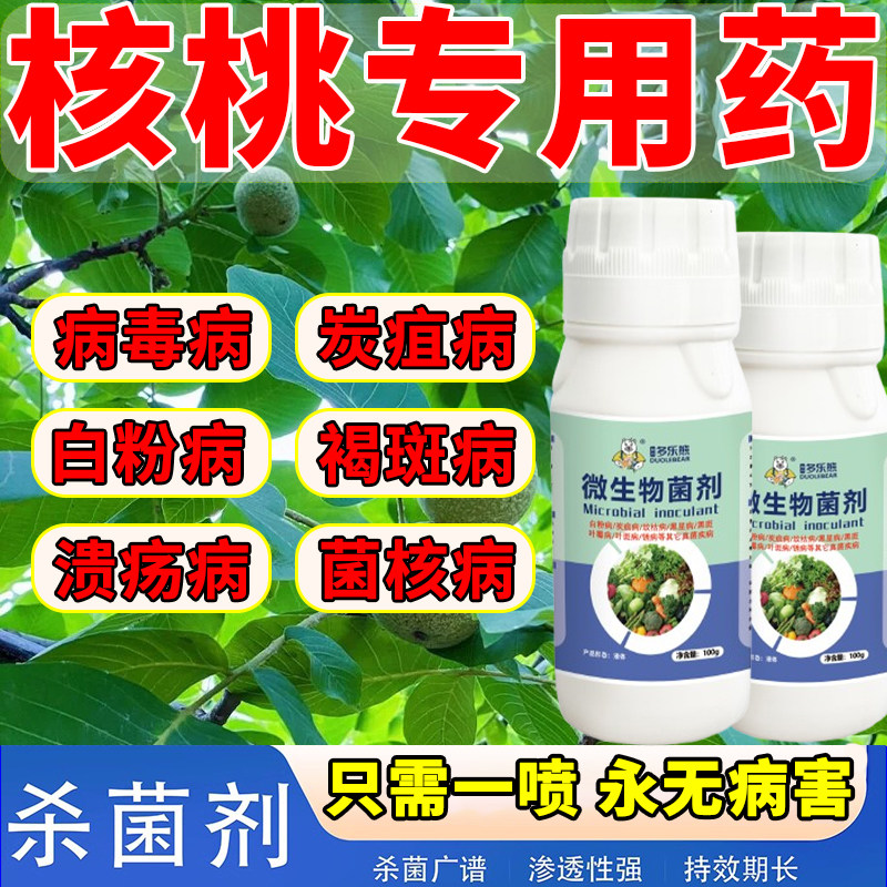 核桃树专用药黑皮烂根杀菌剂杀虫剂褐斑白粉腐烂病烂果黑水病全治