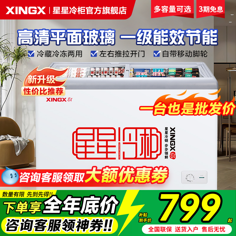 星星展示柜商用小型雪糕柜冰柜