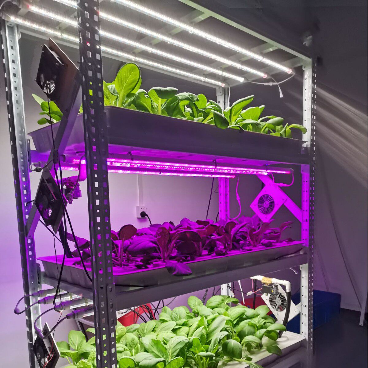 无土水培种植机蔬菜栽培室内大棚阳台种菜植物种植架床架阳台农场