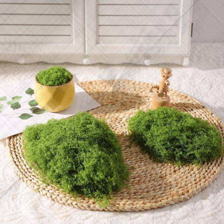 仿真丝状苔藓草坪白发藓仿真羊毛藓假青苔景观苔藓丝盆景盆栽图片