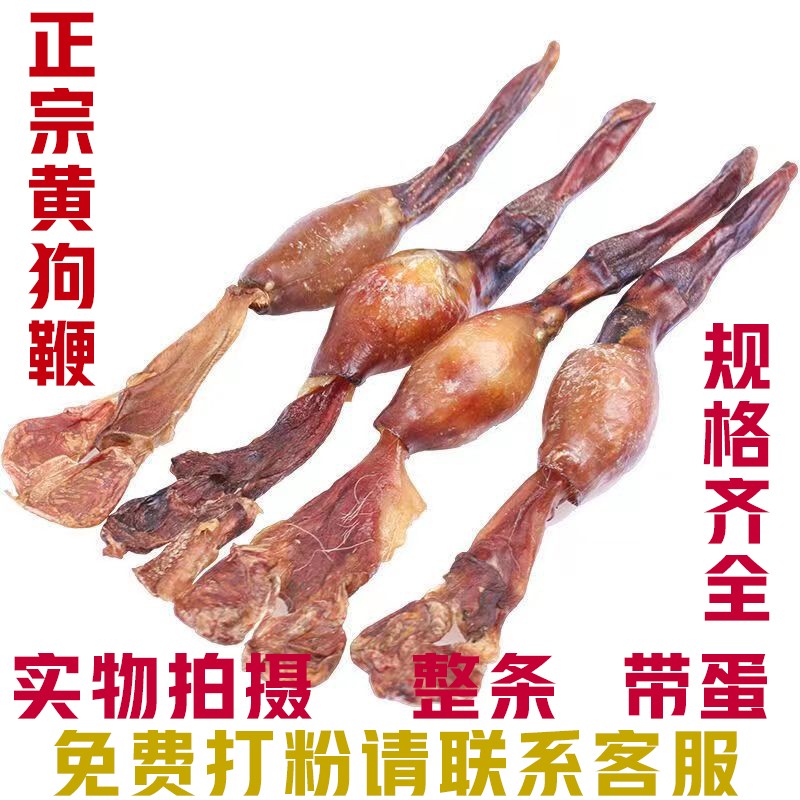 狗鞭干整根正品狗肾泡酒新货鞭毛