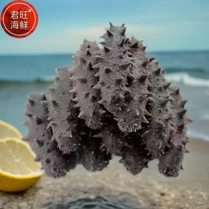 君旺海鲜 半干辽刺参大连盐渍海参拉缸盐长海县野生底播水产干货