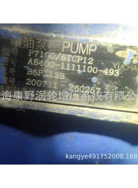 适用玉柴喷油泵P7100/6TCP12 A5400 B6P113B和A9JK0 B6P113T3