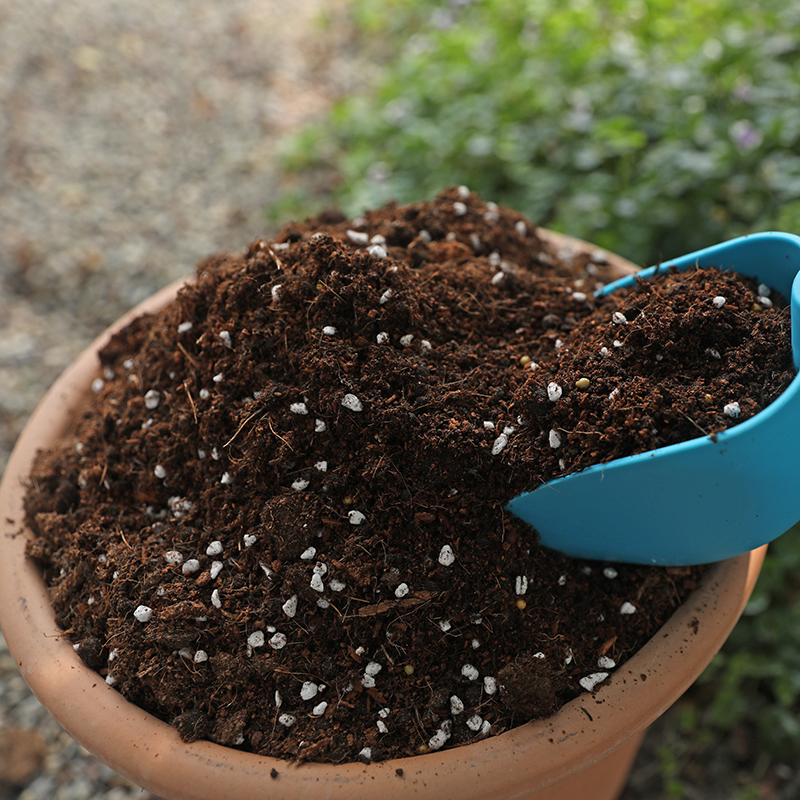 海蒂的花园 营养土养花专用月季专用土花卉植物室内花土壤 种植土