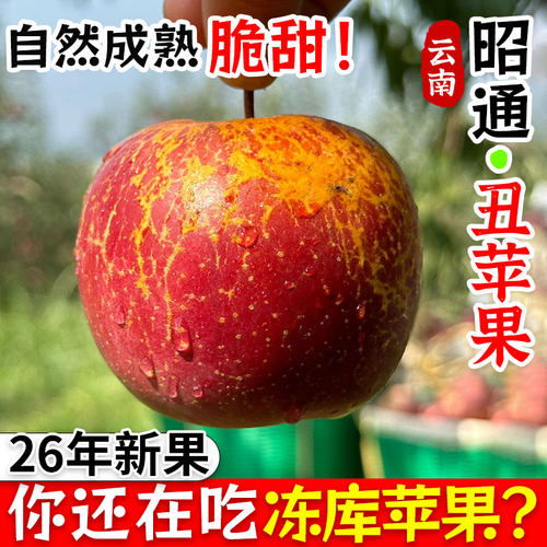 正宗26年新果云南昭通冰糖心丑苹果新鲜水果现摘脆甜野生富士苹果