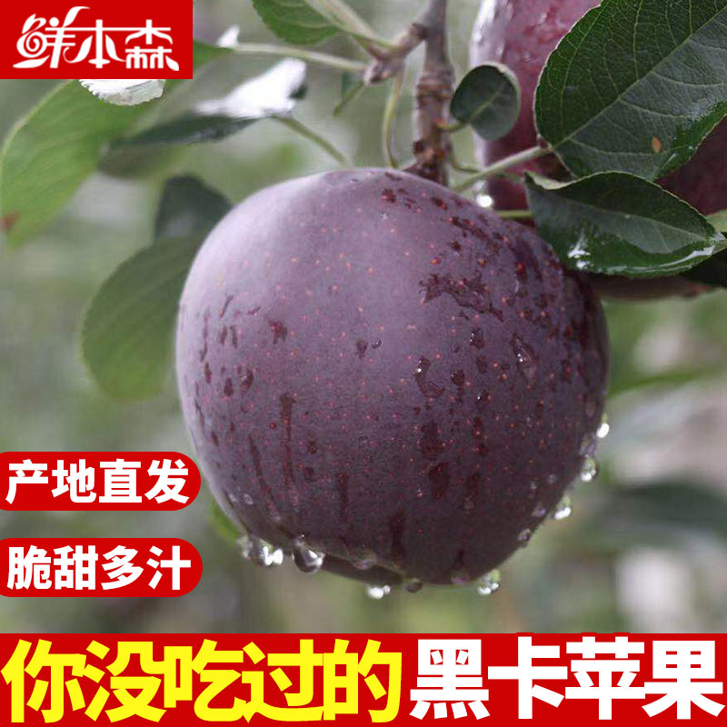 正宗昭通黑卡黑钻苹果水果带箱黑钻新鲜当季脆甜冰糖心苹果包邮图片