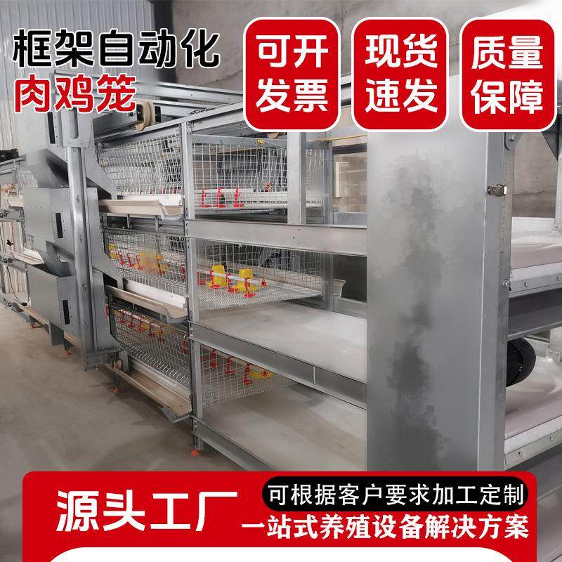 层叠式全自动蛋鸡笼自动化捡蛋清粪大层叠蛋鸡笼大型鸡场养鸡设备