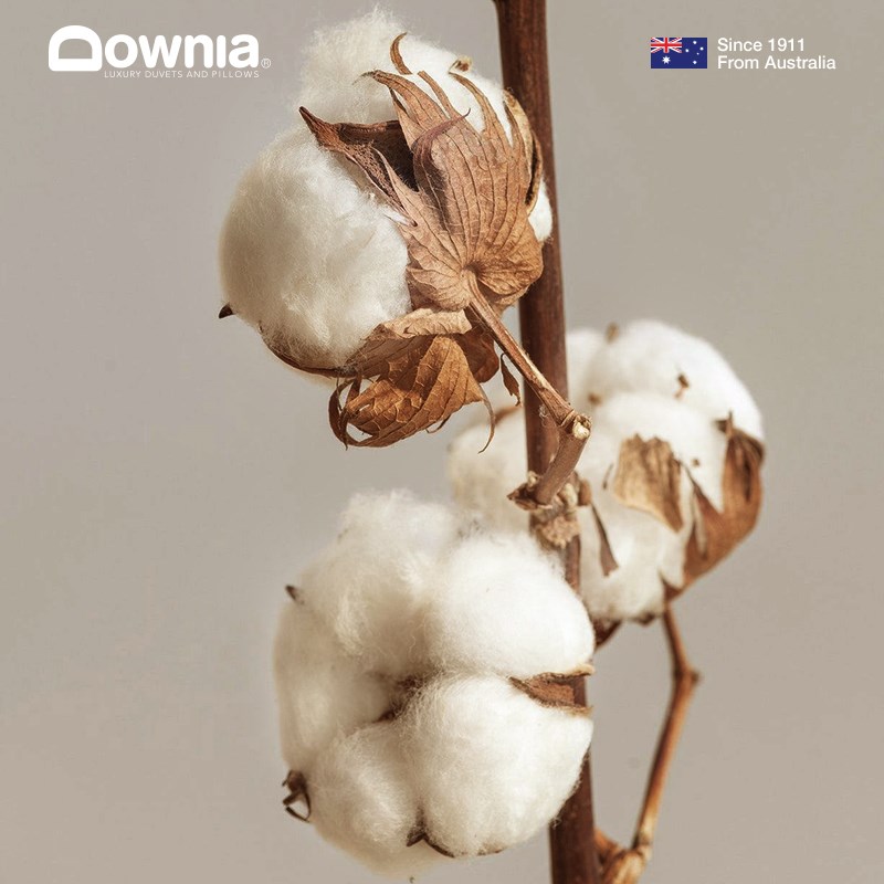 DOWNIA全棉抗菌被子四季通用春秋被空调被双人被芯保暖冬被