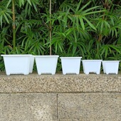 白方盆多肉景天花盆防烂根塑料加厚方形花盆阳台白方花盆处理清仓