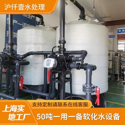 全自动软化水设备锅炉软化装置离子交换器50吨软化机除水垢装置