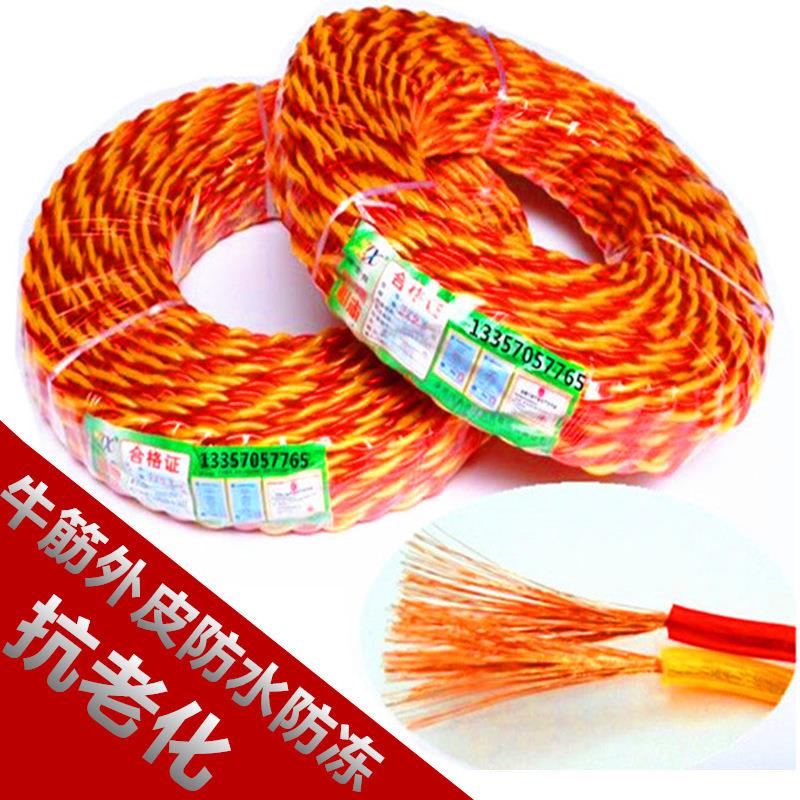 电车充电线透明红黄花线84芯双绞线2.5家用电线插座电源线灯头线