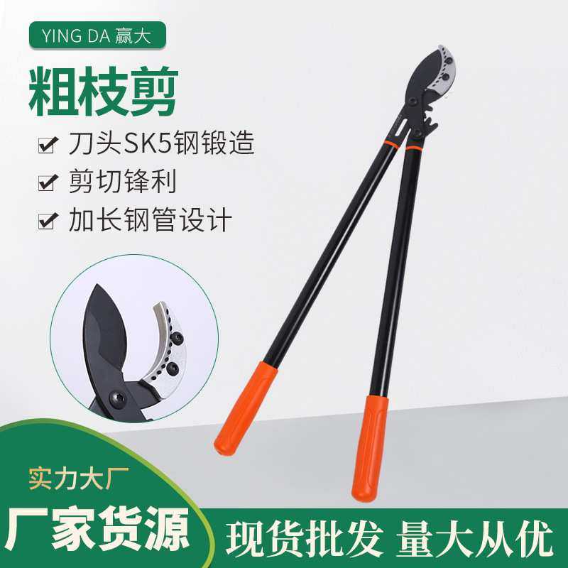 赢大新型粗枝剪大力剪园林园艺伸缩果树剪摘果剪园林工具,模玩/动漫/周边/娃圈三坑/桌游,模型制作工具/辅料耗材,淘宝优惠券,粉丝福利购,淘宝优惠卷