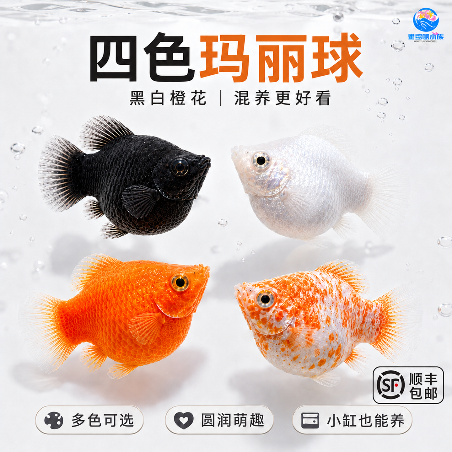 胎生鱼活体玛丽球淡水广温小鱼易繁殖鱼好养热带观赏鱼新手闯缸鱼