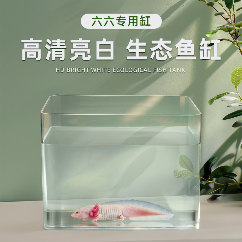 六角恐龙鱼亚克力小缸一体成型专