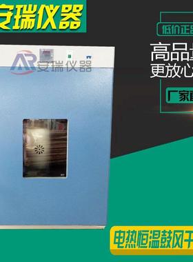 DHG-9624A电热恒温鼓风干燥箱实验室烤箱不锈钢干燥箱