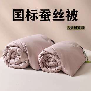 被子冬被加厚保暖全棉冬季 棉被芯10斤宿舍单人学生20252025丝绵被