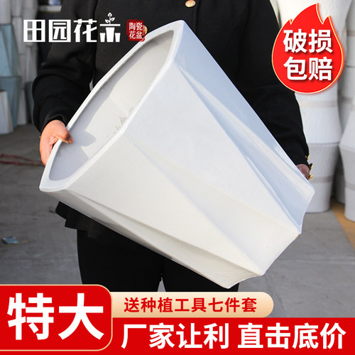 特大号陶瓷花盆简约白色落地阳台
