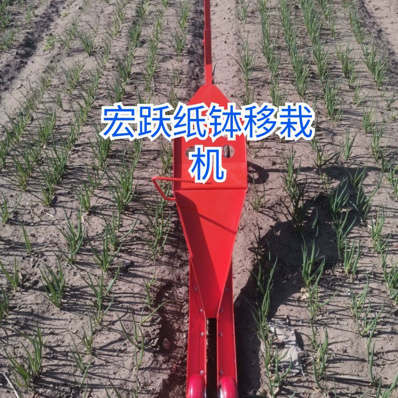 直销大葱移栽机,链条式纸钵移栽机,叶I菜类移栽机适用于菜蔬花卉