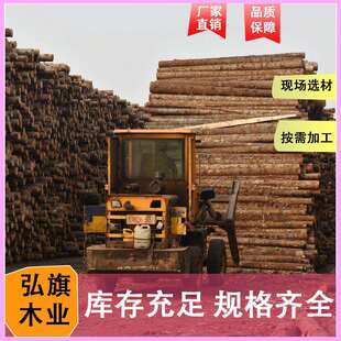 工地河道杉木桩木材原木打桩木河道防洪护岸工程建筑桩杉木桩