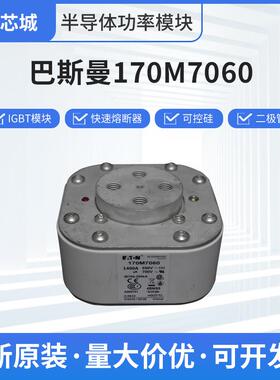 巴斯曼170M7060稳压熔断器