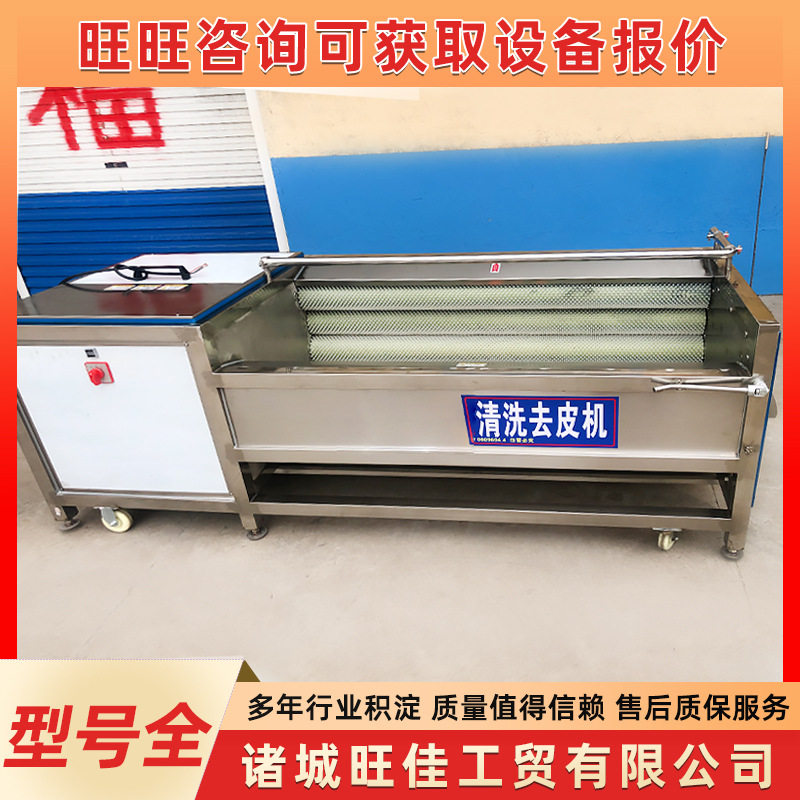 不锈钢商用毛辊去鳞清洗机