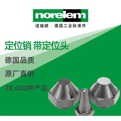 norelem德国原厂诺瑞朗NLM02029定位销带定位头