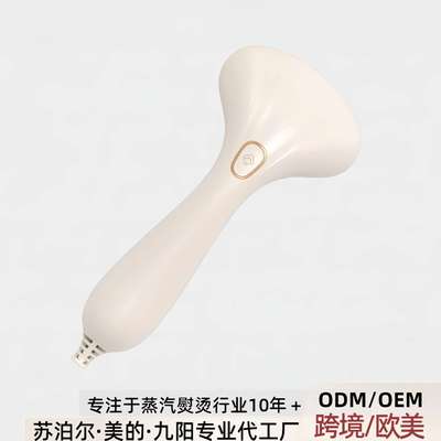 不锈钢面板手持挂烫机熨烫机家用蒸汽刷小型熨斗便携式电熨斗