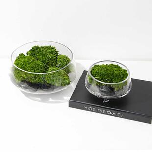 现代简约轻奢永生苔藓透明玻璃花器客厅茶几洽谈桌绿植盆景摆件